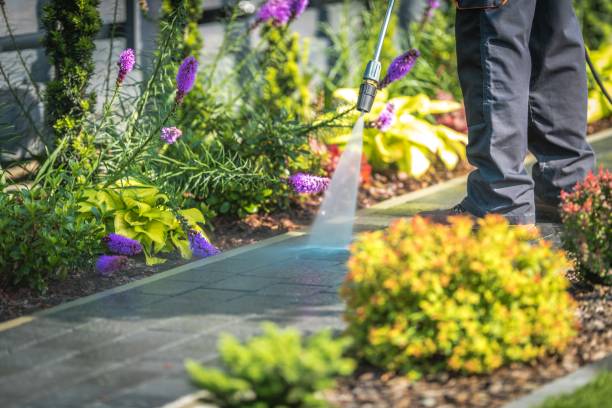 Professional Pressure Washing Services in Menands, NY